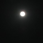 福島の月