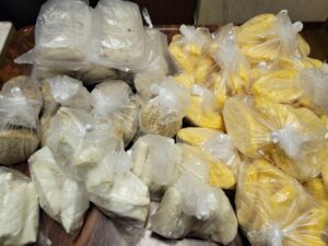 フードパントリー(4月1日 2日) (2)