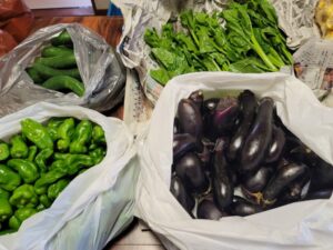 フードパントリー(8月19日 20日) (7)