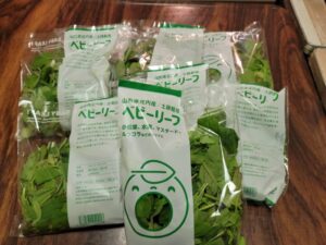 Line oa chat 251208 204938 group