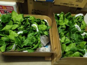 Line oa chat 260310 162309 group